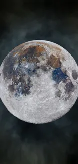 Close-up view of the moon's textured surface in gray tones.