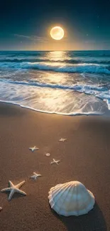 Moonlit beach with seashells and calming waves at night.