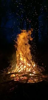 Campfire burning brightly in a dark forest under a night sky.