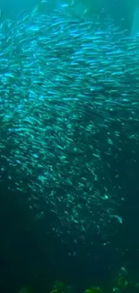 Swarm of fish swimming in ocean depths with teal water and vibrant marine life.