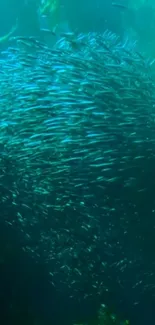 Vibrant school of fish swimming in deep blue ocean waters.