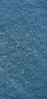 Calm ocean waves with sunlight reflections in blue waters.