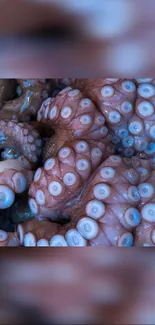 Close-up view of an octopus's detailed texture with pink and blue hues.