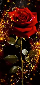 Red rose with glowing sparks on black background.