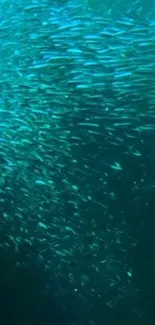 Mesmerizing school of fish in blue ocean depths, perfect for mobile wallpaper.