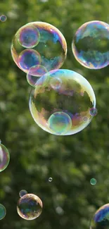 Colorful soap bubbles floating over a lush green background.