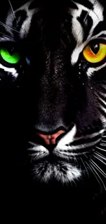 Mesmerizing tiger with vibrant eyes in dark, artistic wallpaper.