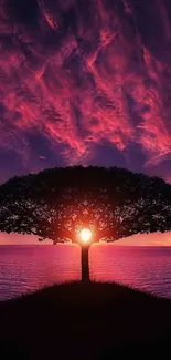 Silhouetted tree with stunning purple sunset sky.