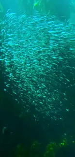 A stunning underwater scene with a large school of glittering fish.