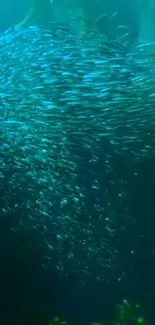 Swarming school of fish in deep teal ocean.