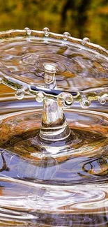 Water drop creating beautiful ripple effect with golden reflections.