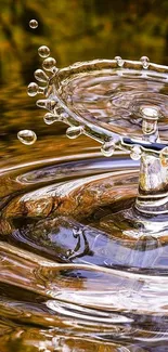 Artistic water drop creating mesmerizing ripples in golden brown hue.