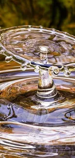 Artistic capture of water splash creating ripples.