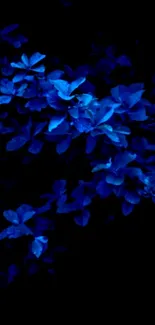 Midnight blue floral wallpaper with a dark background.