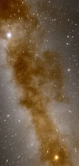 Milky Way galaxy with stars in a cosmic night sky.