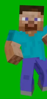 Pixelated Minecraft character on green background.