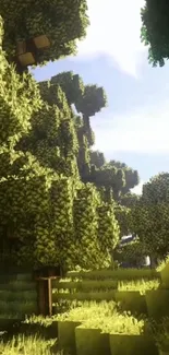 Minecraft forest scene with sunlit trees and pixelated design.