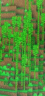 Pixelated Minecraft jungle with green bamboo and brown terrain.