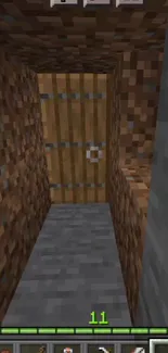 Minecraft tunnel scene with wooden door.