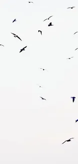 Minimalist wallpaper with birds flying in a white sky, creating a serene atmosphere.