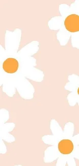 Minimalist daisy floral wallpaper with pastel peach background.