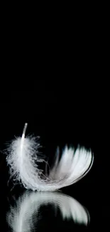 Minimalist wallpaper with a white feather on black background.