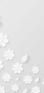 Minimalist wallpaper with white paper flowers on a light gray background.