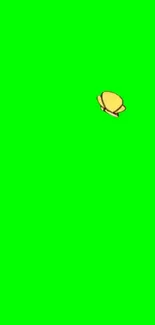 Minimalist lemon on vivid green background.