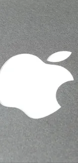 Minimalist gray wallpaper featuring Apple logo.