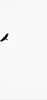 Minimalist wallpaper with a black bird flying on a white background.