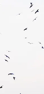 Minimalist mobile wallpaper of birds flying in a white sky