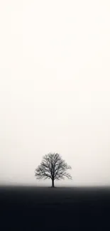 Minimalist black and white wallpaper with a lone tree.