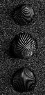 Three shells on black sand artistic wallpaper