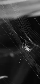 Black and white spider web wallpaper with elegant lines and details.