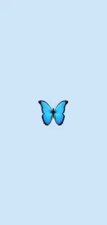 Minimalist wallpaper with a blue butterfly on a light blue background.