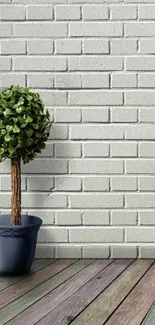 Minimalist wallpaper featuring a potted plant against a brick wall.