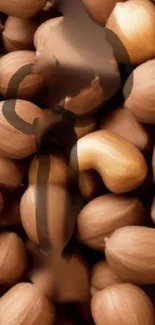 Brown nuts minimalist mobile wallpaper with organic design.