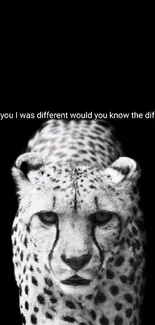 Monochrome cheetah with text on black background.