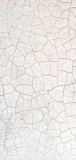 Cracked earth texture wallpaper in beige tones.