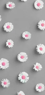 Minimalist gray wallpaper with white daisies.