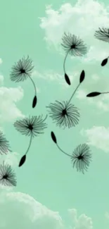 Minimalist dandelion wallpaper with a mint green sky.