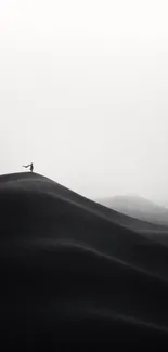 Minimalist black and white desert scene with lone figure.
