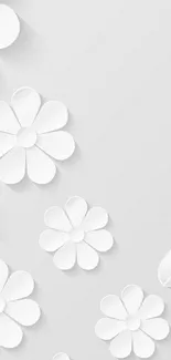 Minimalist mobile wallpaper with 3D white flowers and leaves.