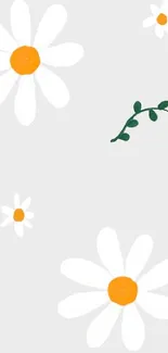 Minimalist floral wallpaper with daisies and vines on light gray background.