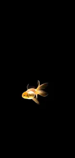 Minimalist goldfish on a black background wallpaper for mobile phones.