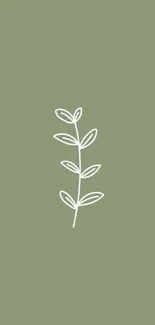 Minimalist olive green background with white leaf design.