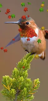 Hummingbird perched on a small branch with a colorful background.