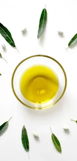 Olive oil bowl with leaves on minimalist white background.