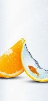 Orange slices with a fish in one, on a light blue background.