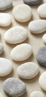 Minimalist pebble stone pattern background.